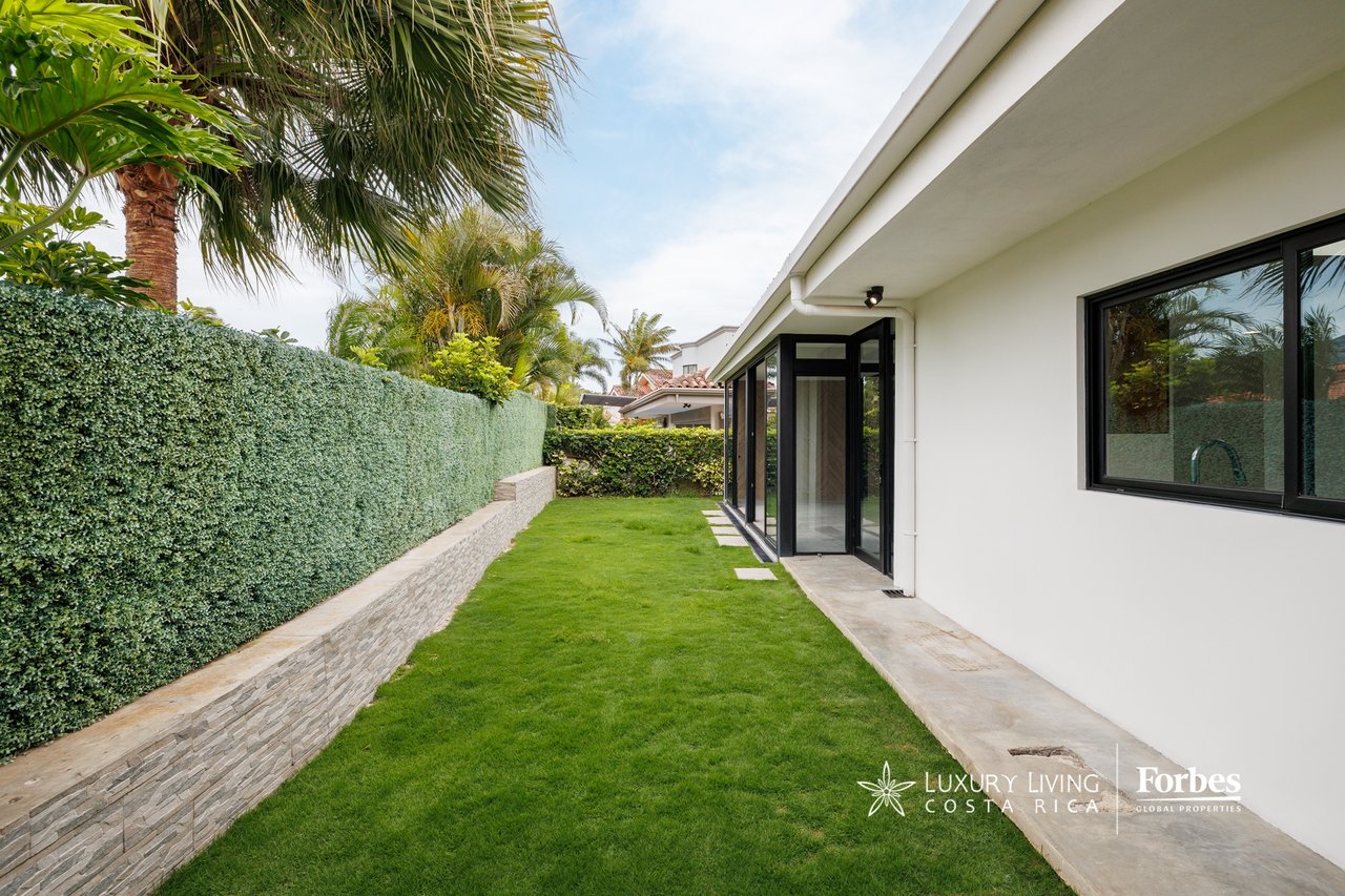 Side garden beside a modern white home, with a lawn, tall hedge, and palms.