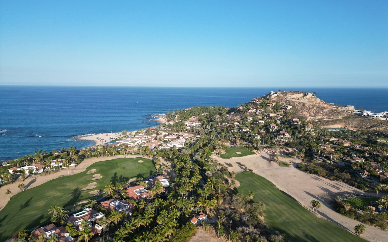 Palmilla