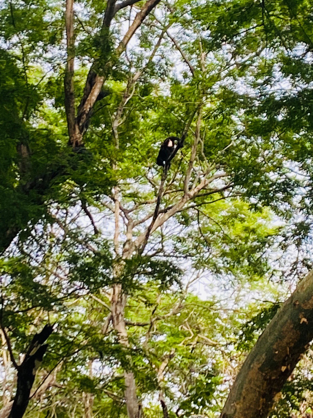 Valle Escondido Development | New Gated Community Near Tamarindo Beach