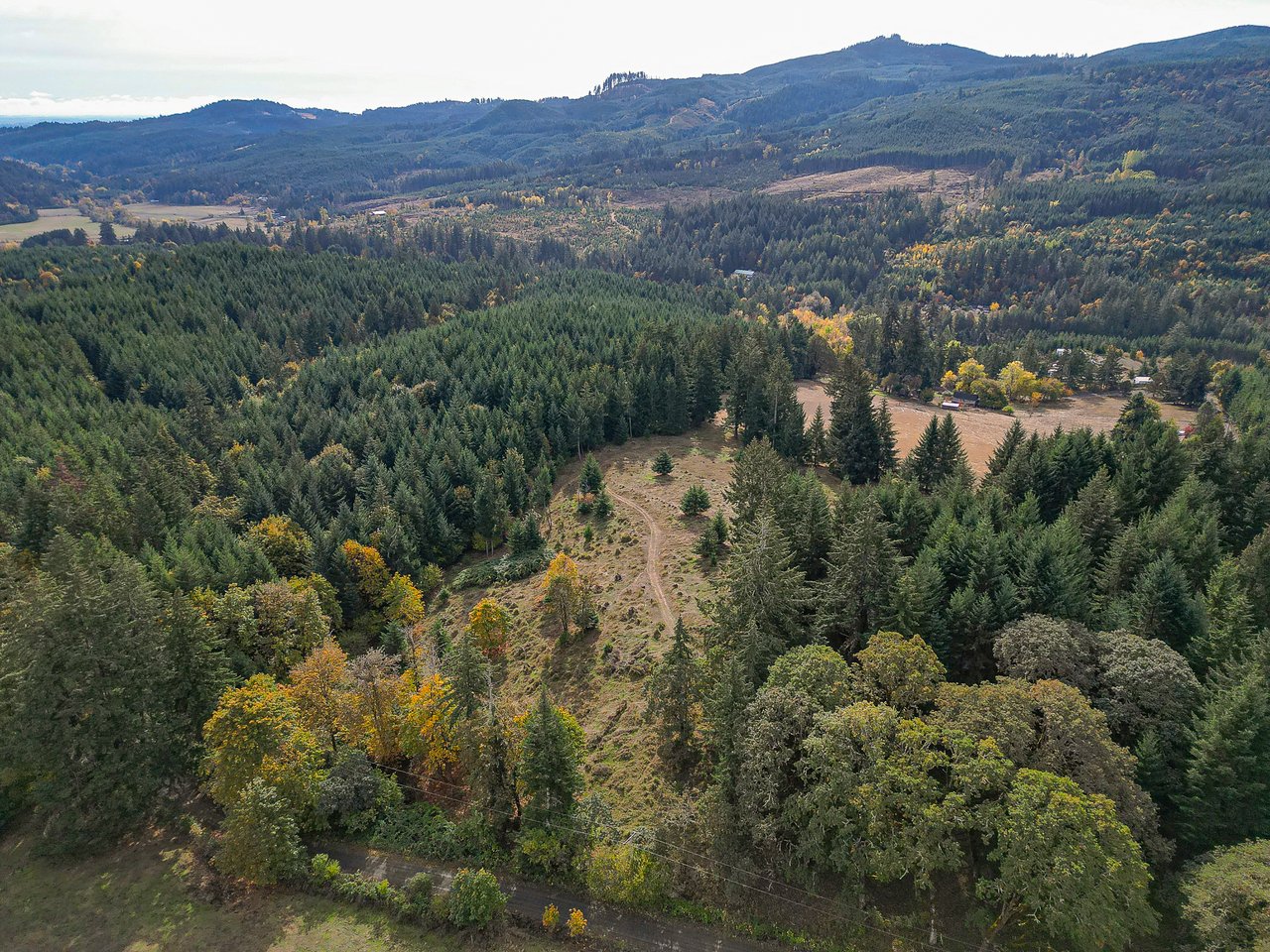 Panther Creek Homestead