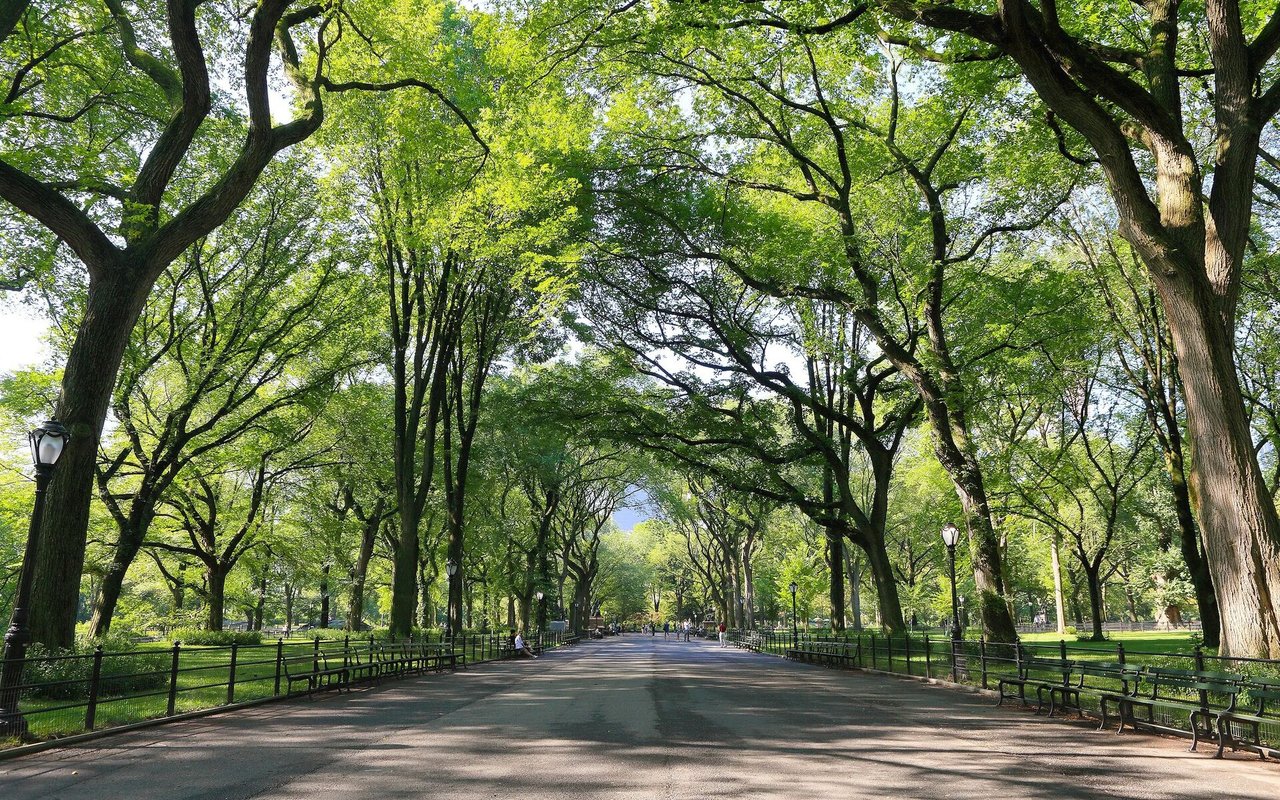 Shady Grove Park