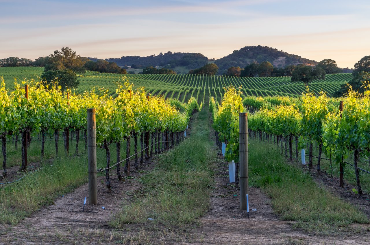 Healdsburg