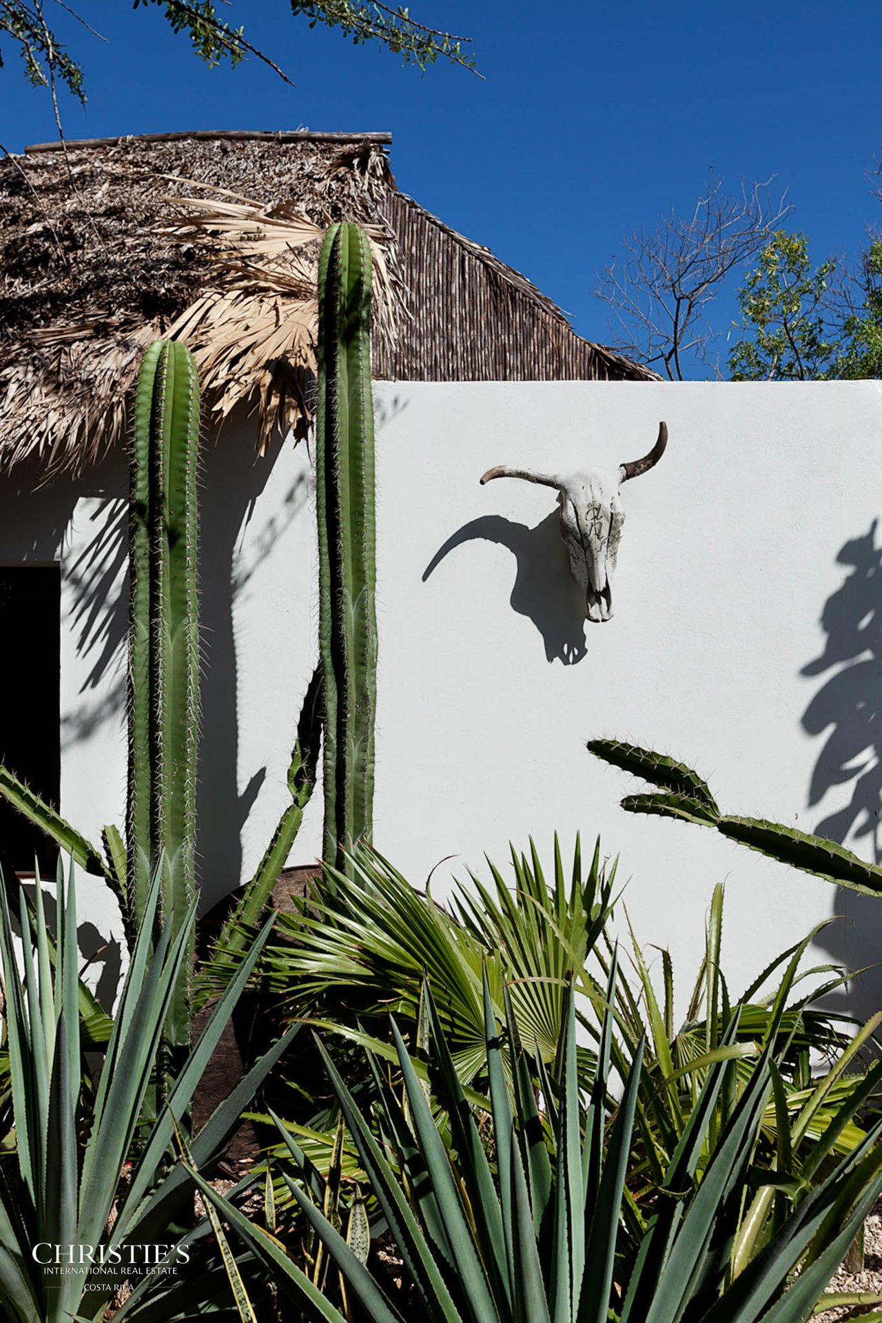 Mandla Boutique Coastal Retreat with World-Class Surf