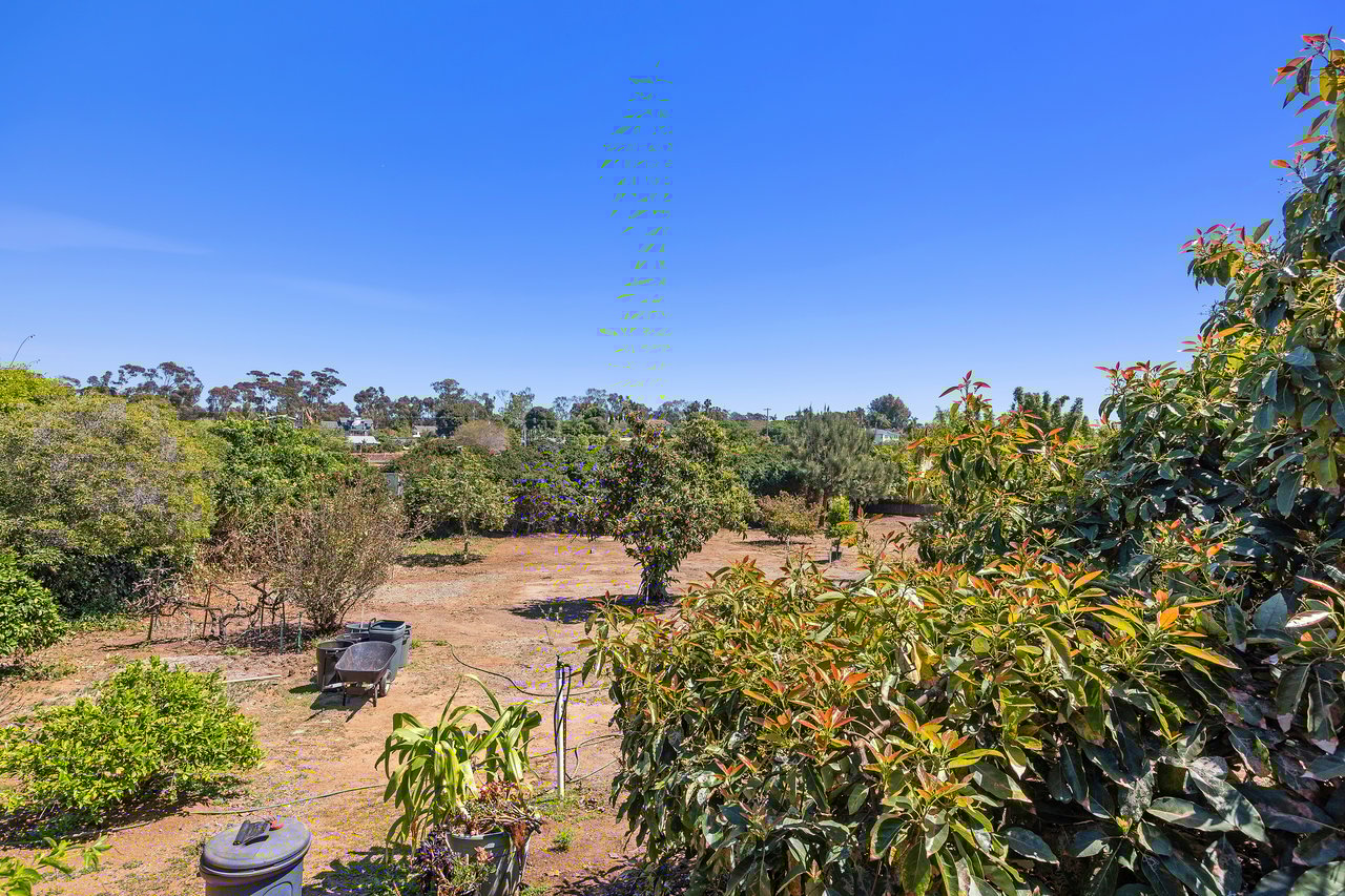 Olde Carlsbad Opportunity