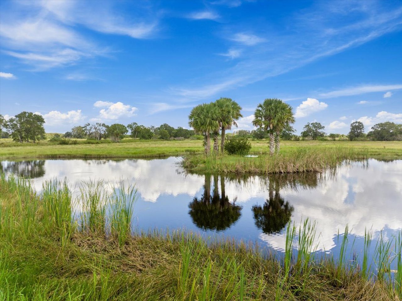 Bhakta Farms - 12600 SR-60