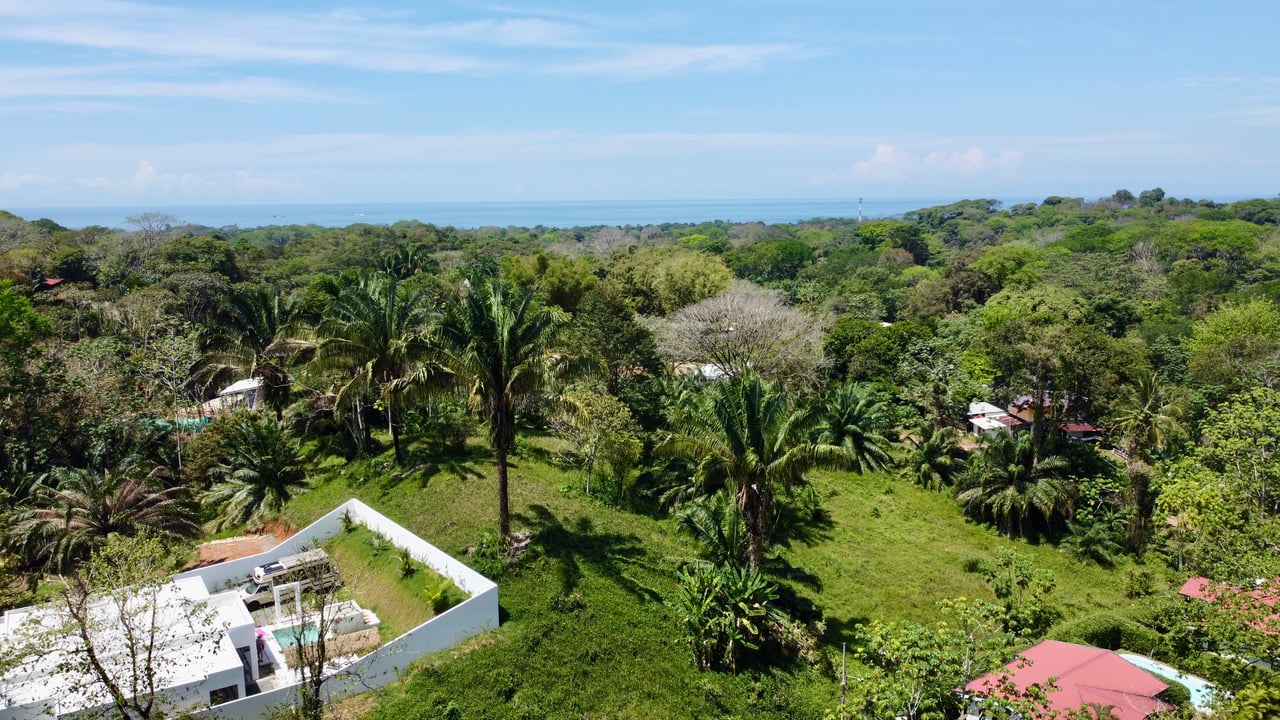 4 Development Lots  in Jardines del Morete