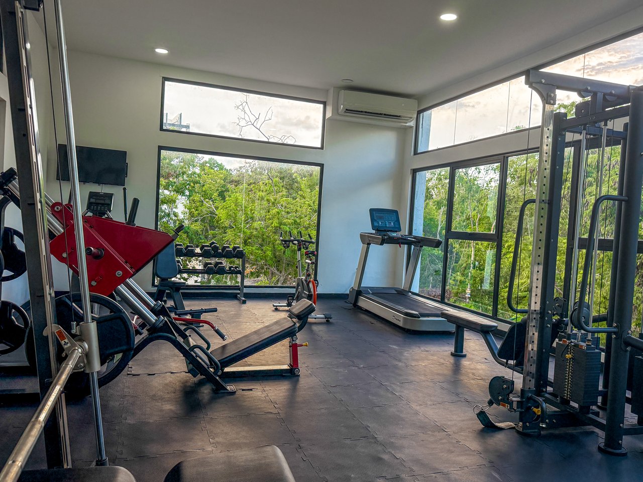 Studio Naia  | Incredible Price