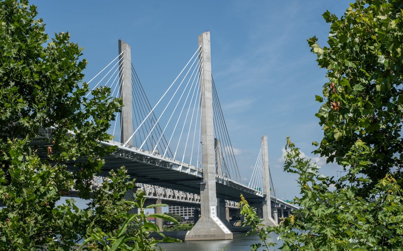 contact-form-background