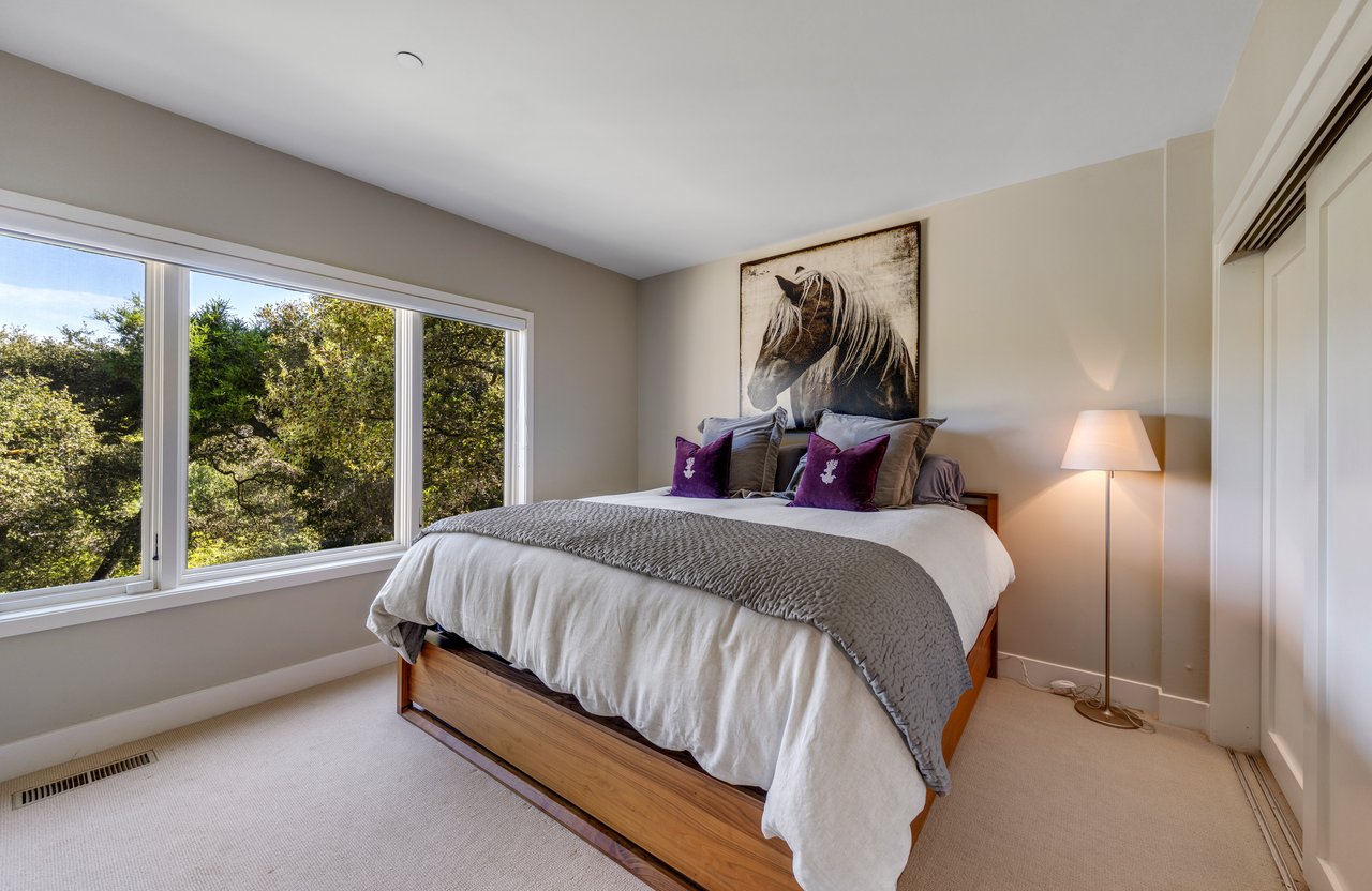 Chic and Stylish on Belvedere Island