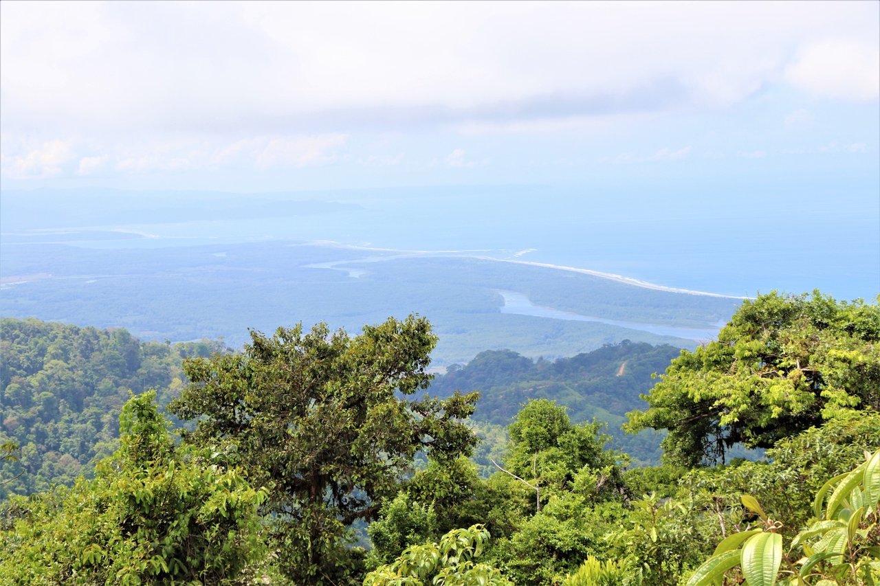 Large Development Farm, Ojochal, Puntarenas