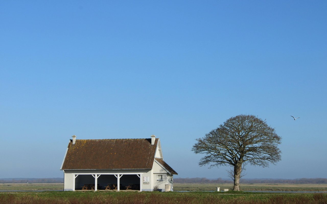 Country Acres
