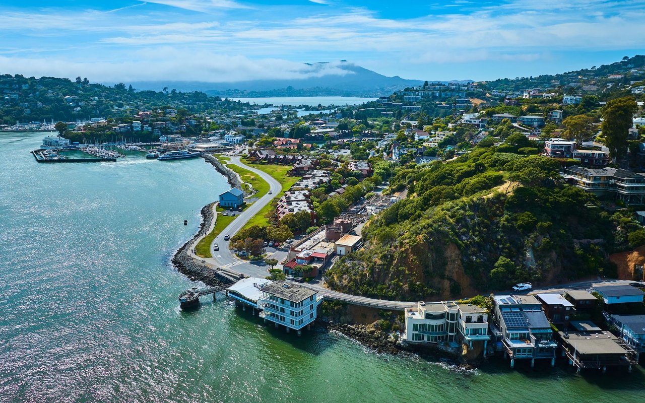 Tiburon