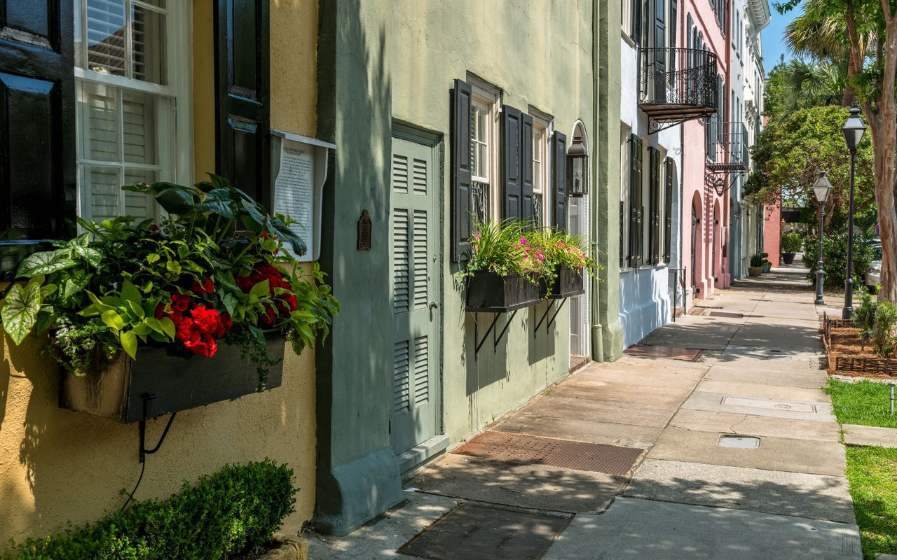 Savannah
