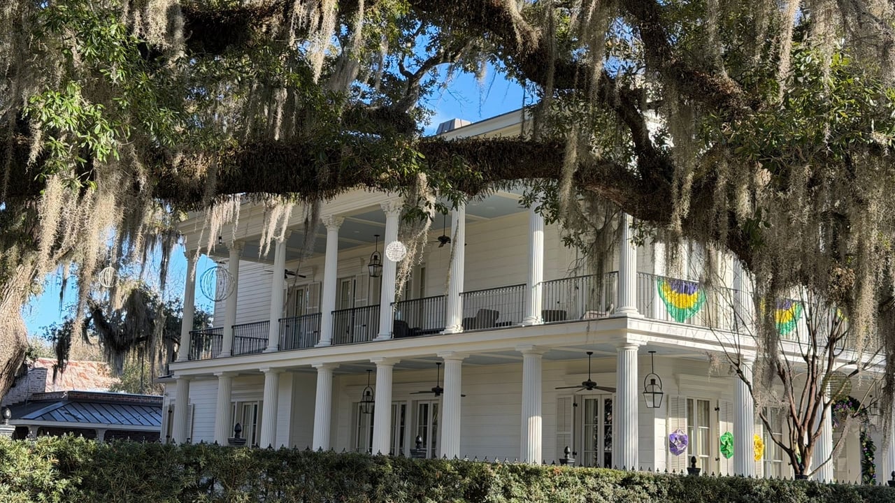 10 Reasons To Move To New Orleans 