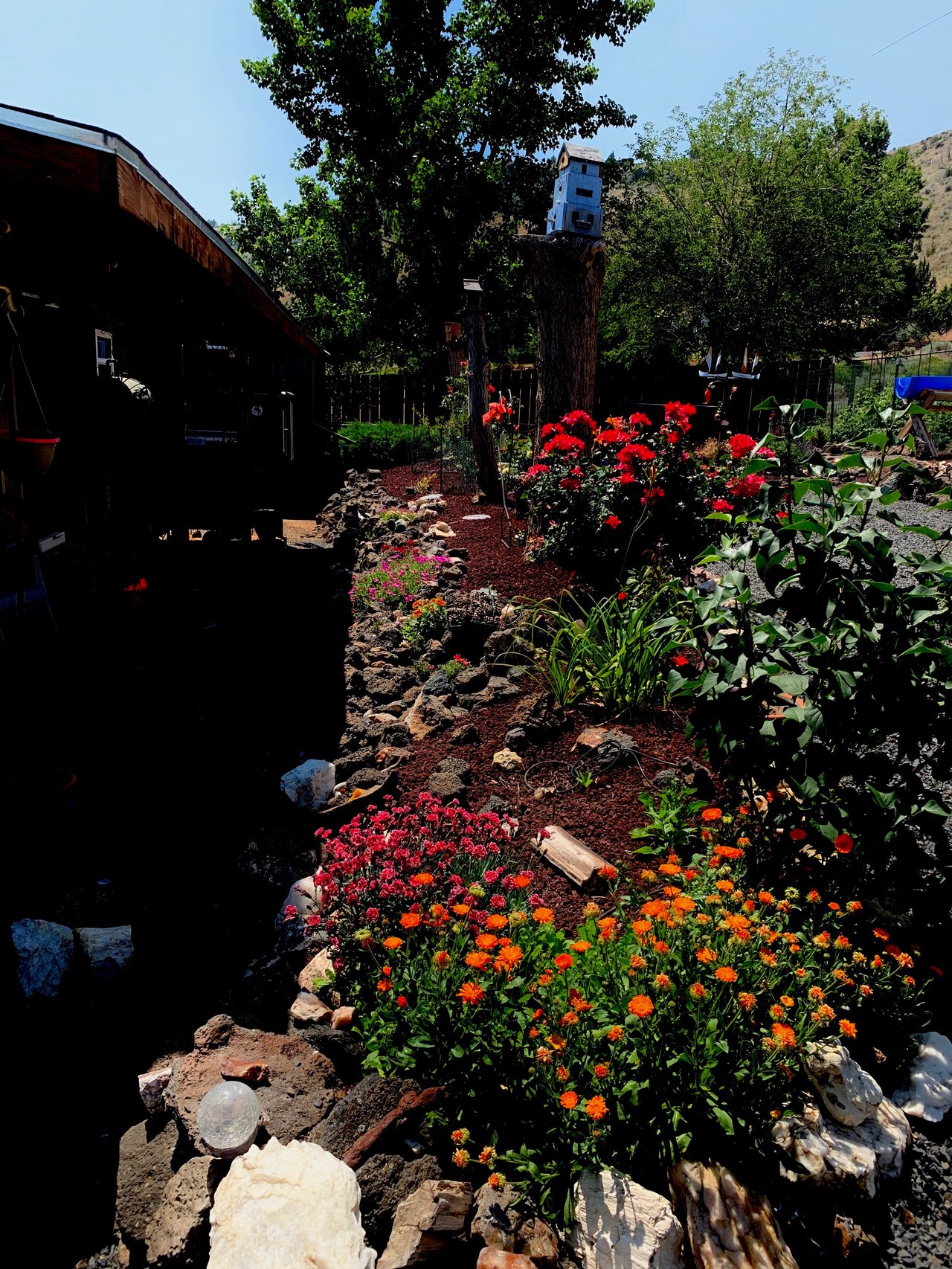 11564 SW Horny Hollow Trail 