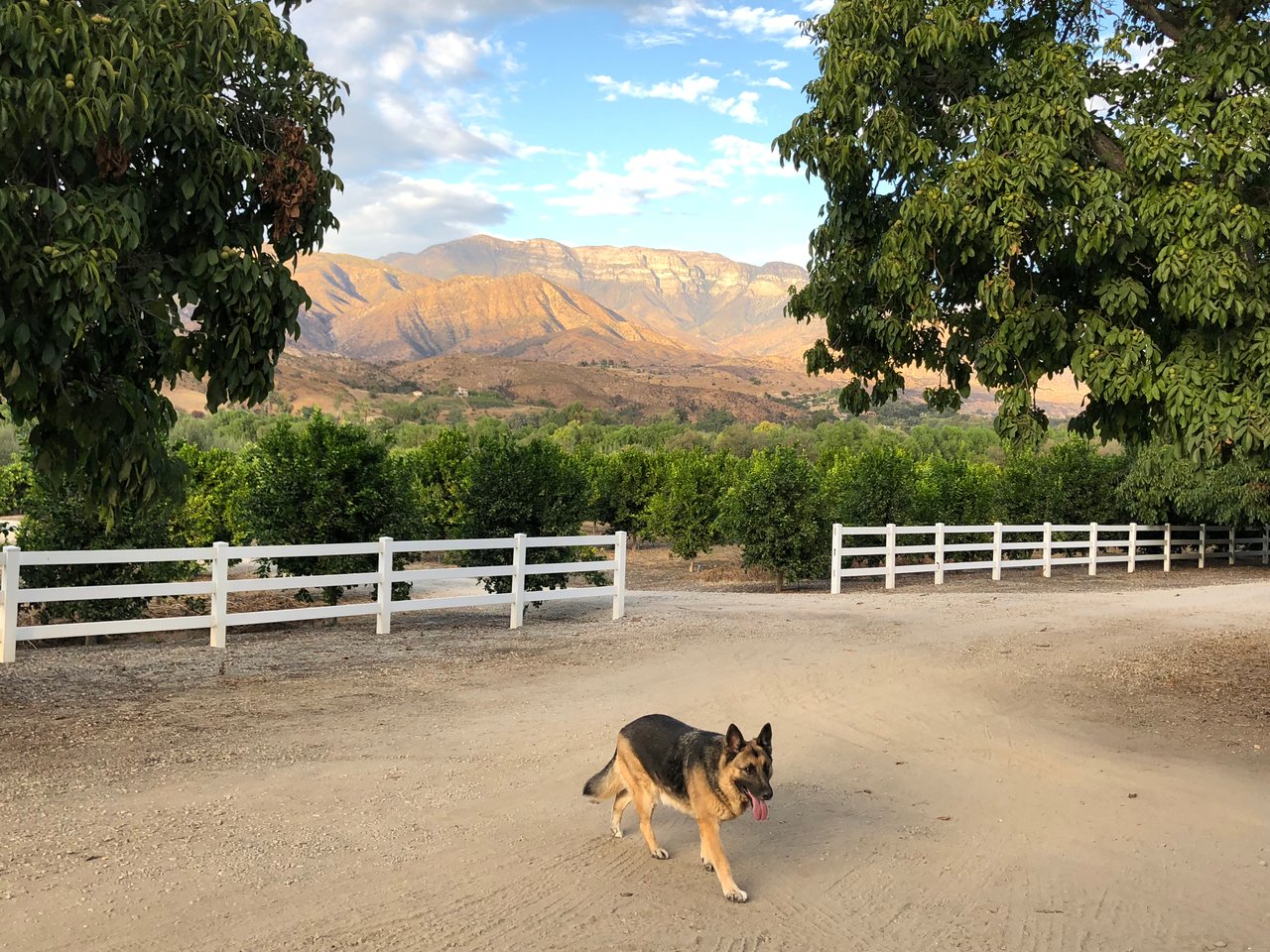 12140 Old Walnut Road 