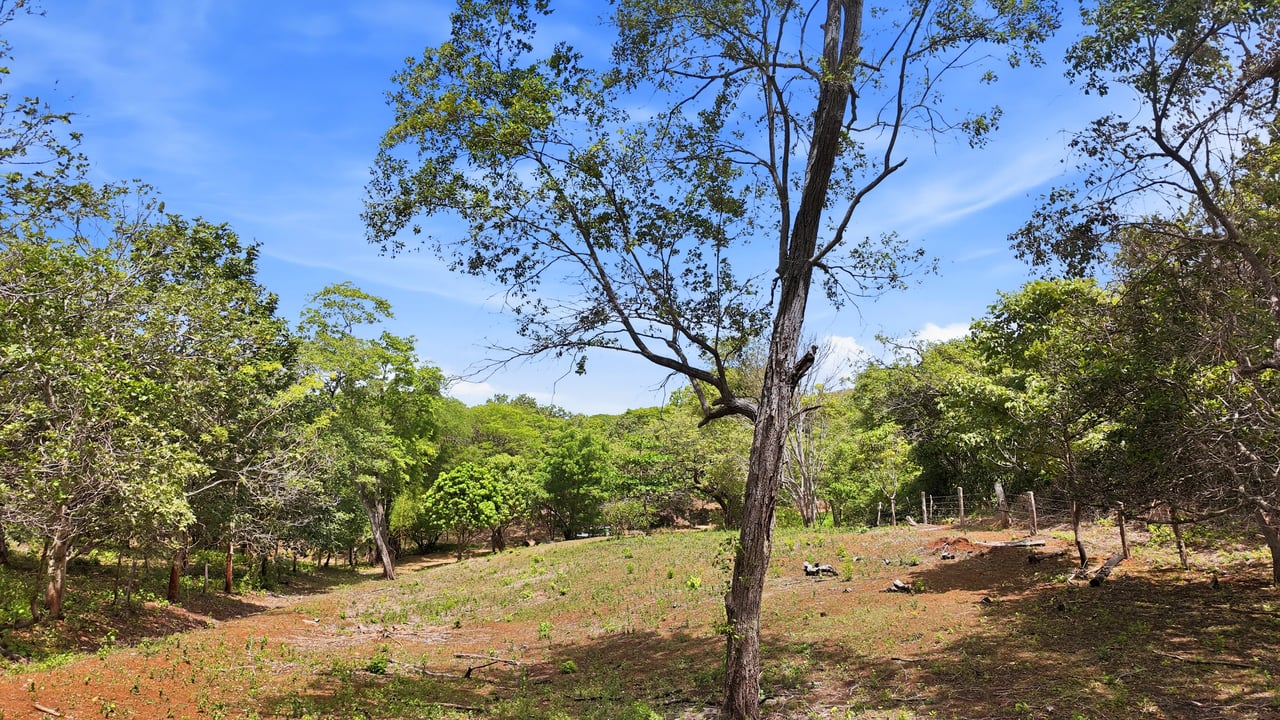 3.4 Acres of Quiet Country Living | 12 minutes from the Beach - Tempate 