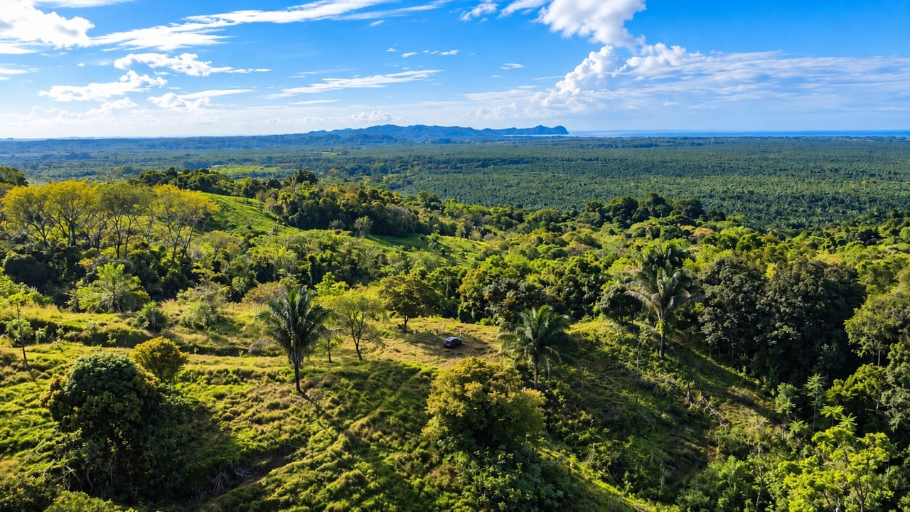 Vista Grande, 235 Acres with 6 bed home and Pool, (HUGE PRICE REDUCTION)