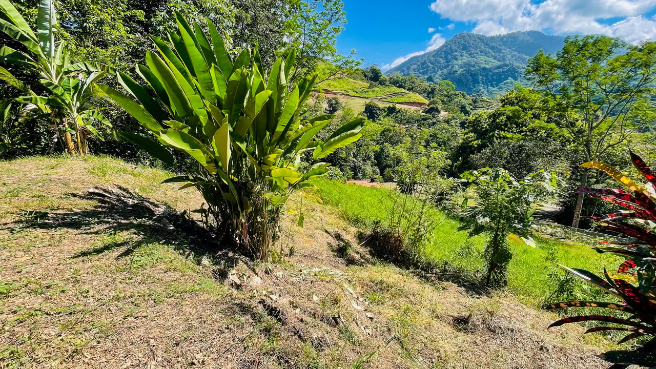 Private Mountain Sanctuary in Costa Rica awaits