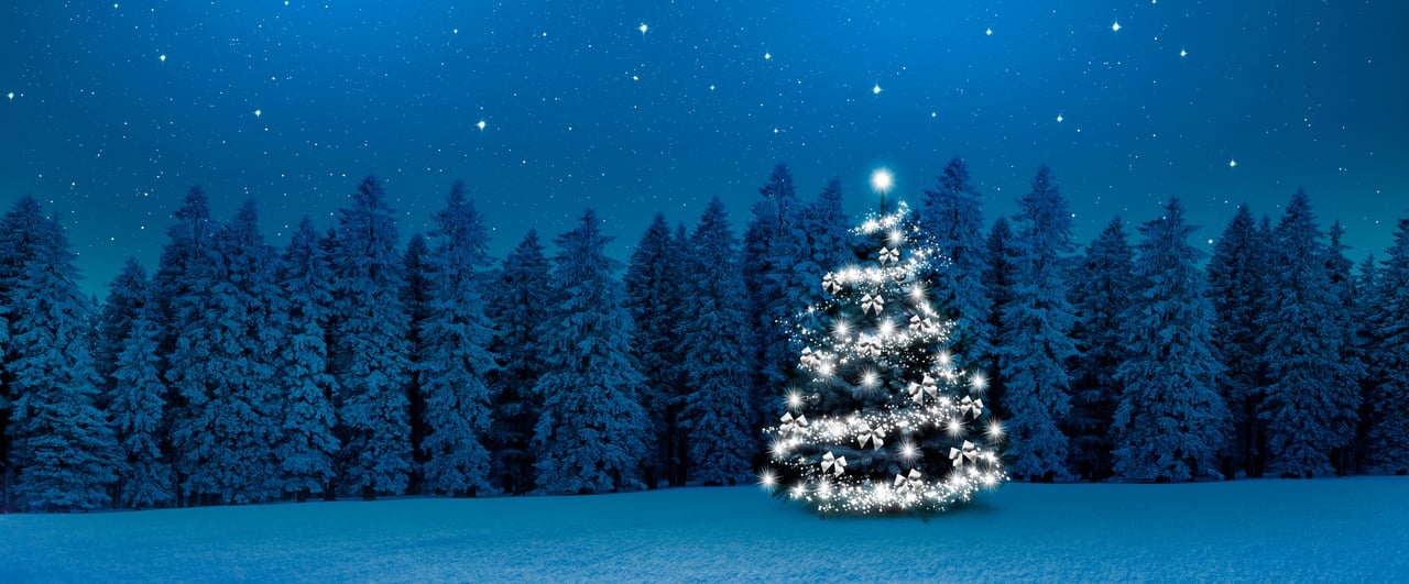 Winter holiday lights and snow-covered landscape in Incline Village near Lake Tahoe.