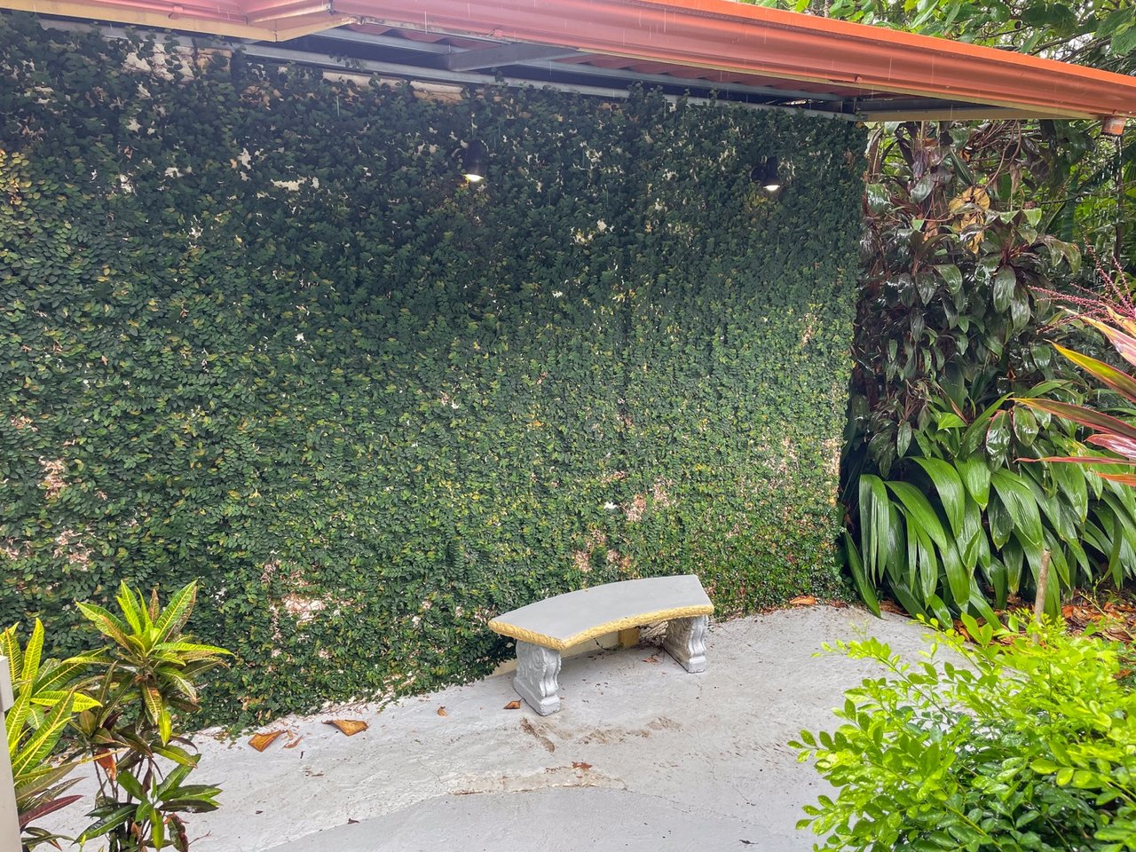 Cozy Colonial Home with Lush Gardens and Prime Commercial Prospects