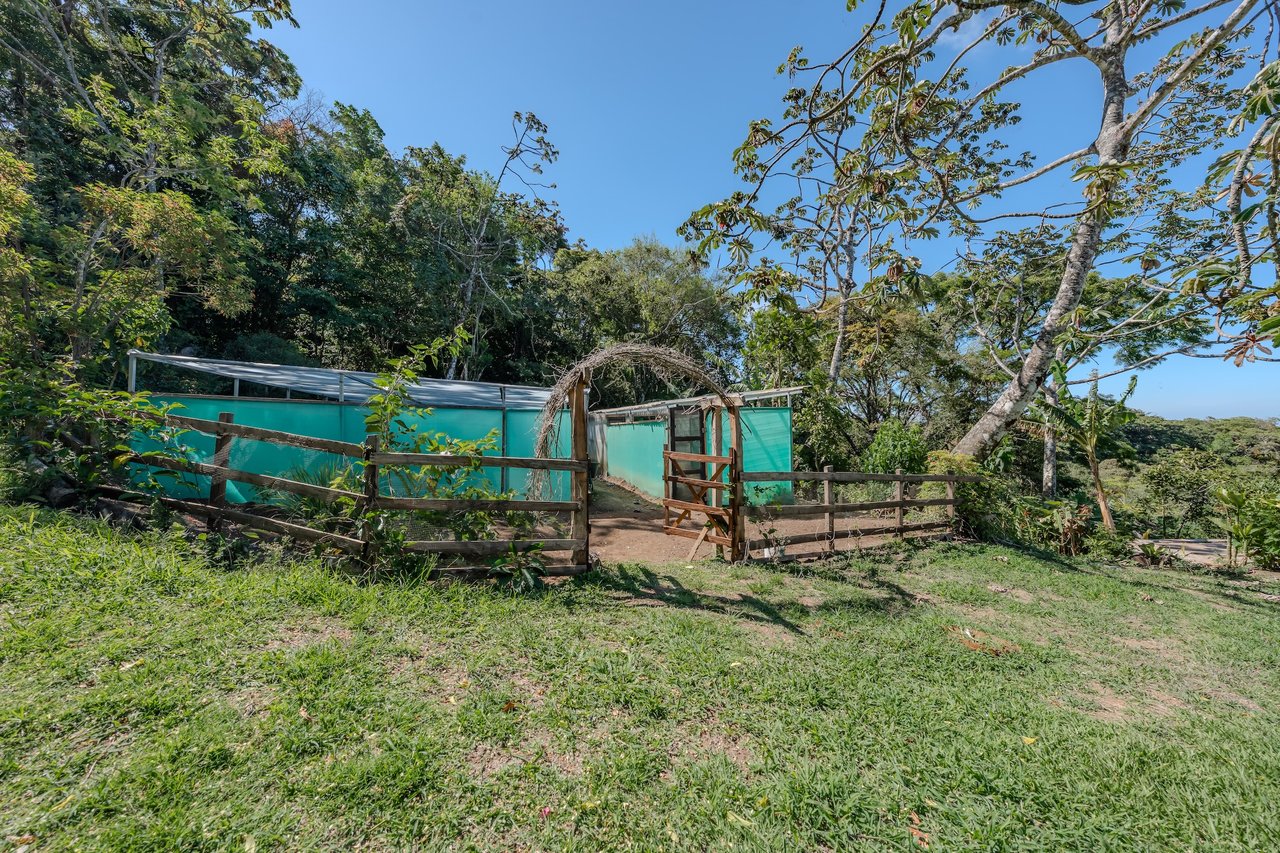 Eco Luxury Estate in Monteverde with Panoramic Gulf Views & Flat Land