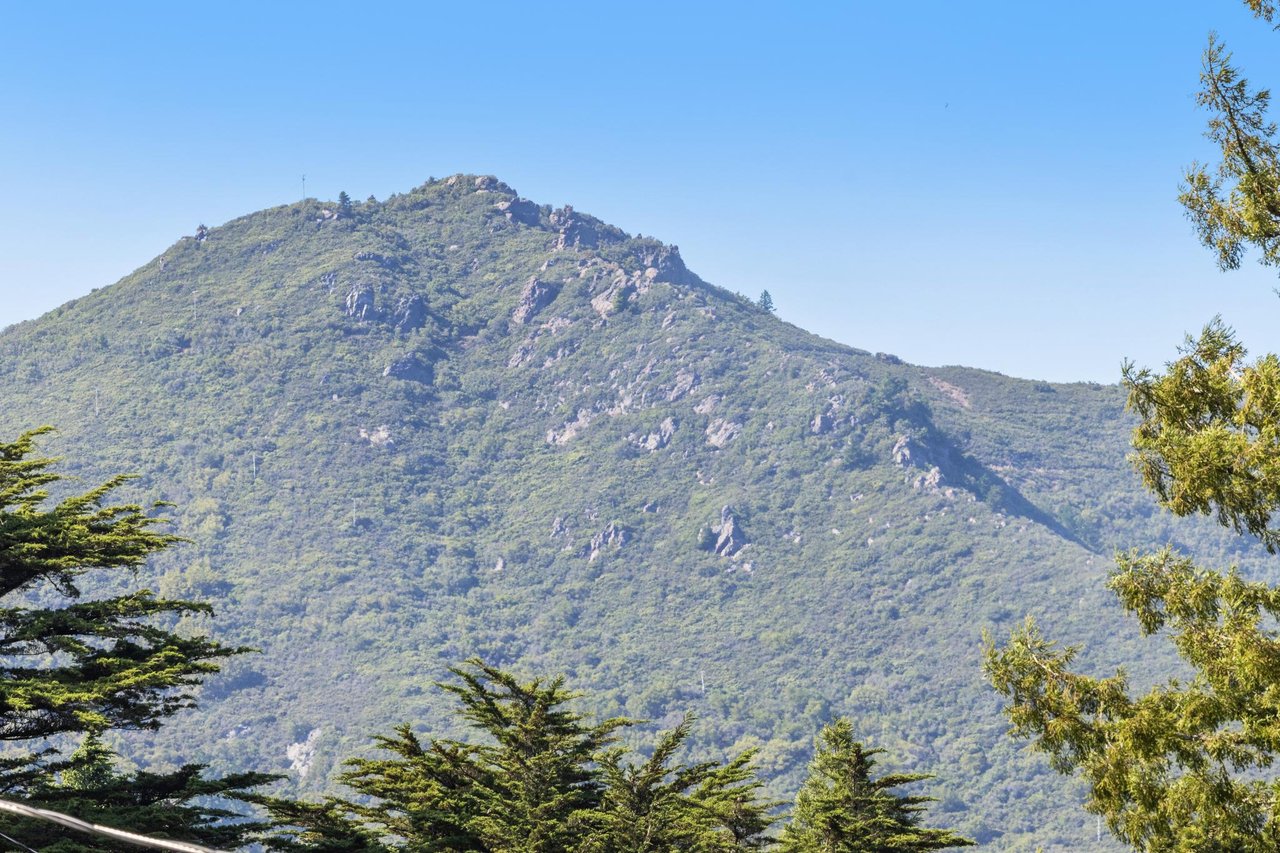 Marin County Real Estate Market Update February 2024 with Ben Faber