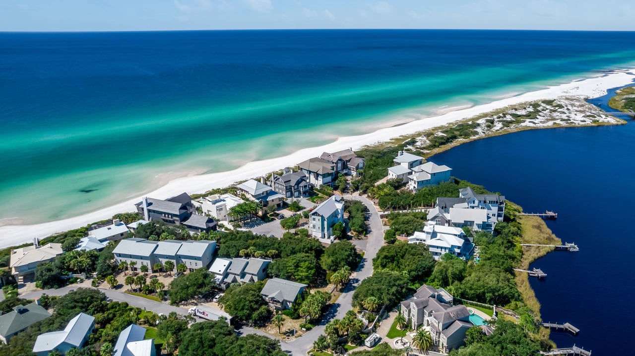 Inside a Florida Beach House Where Dogs Can Be Dogs