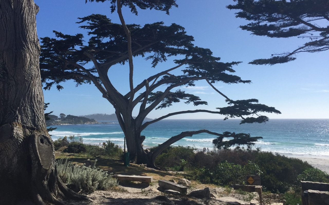 Carmel