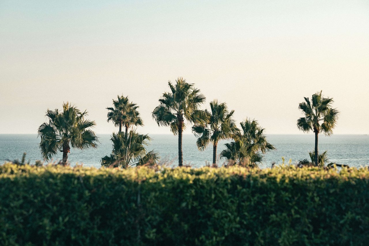 Corona Del Mar