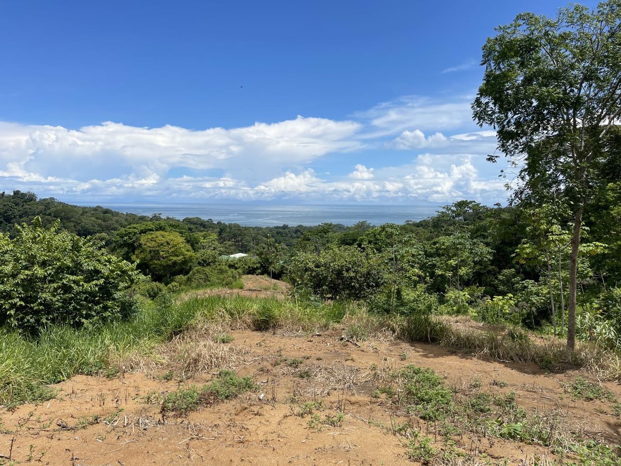 15.9 ACRES – Ocean View Development Property With Legal Water, Public Road, 5 Min From Highway!
