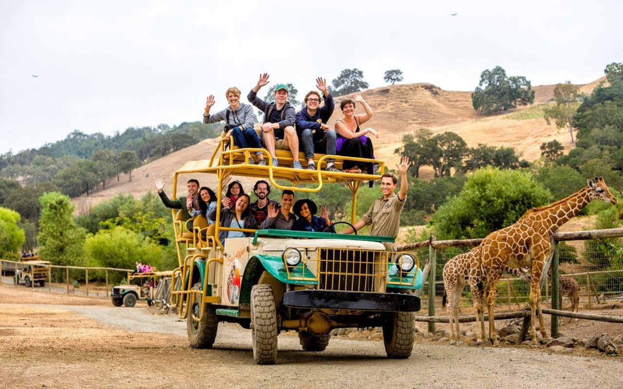 11 Zoos in Northern California You Won't Want to Miss