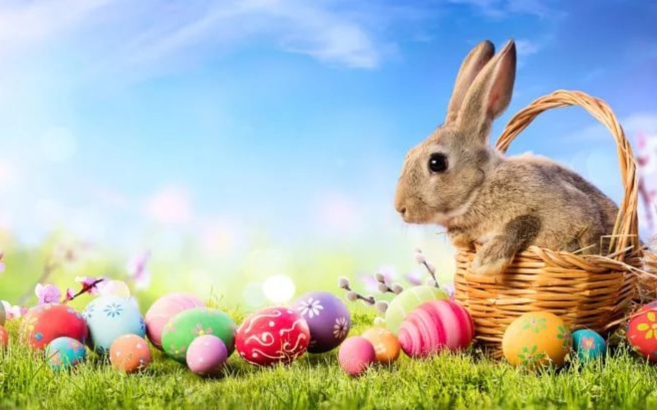 “Hop on Over” 3 Luxury Open House Tours