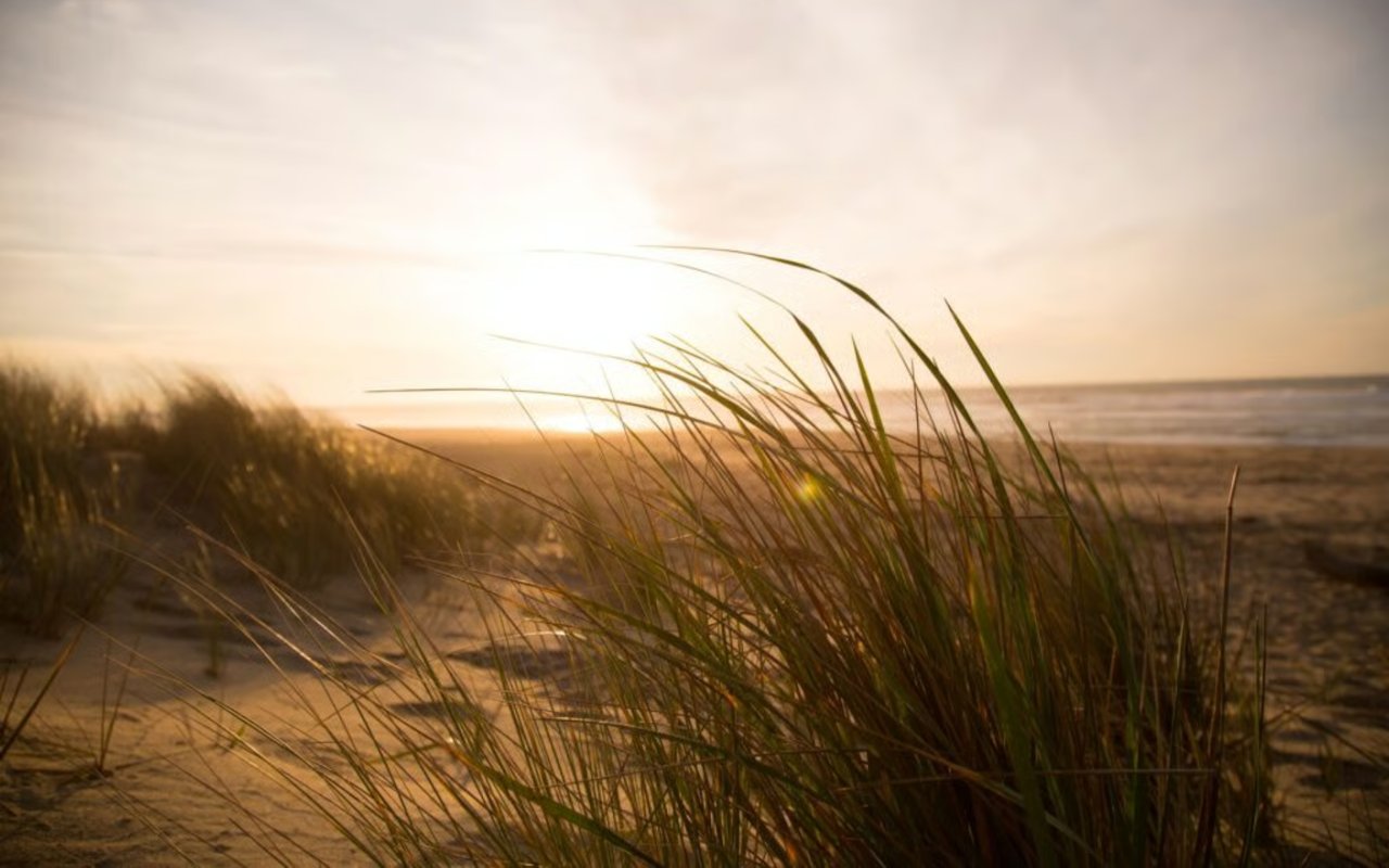 Winds of Change – Are They Blowing?