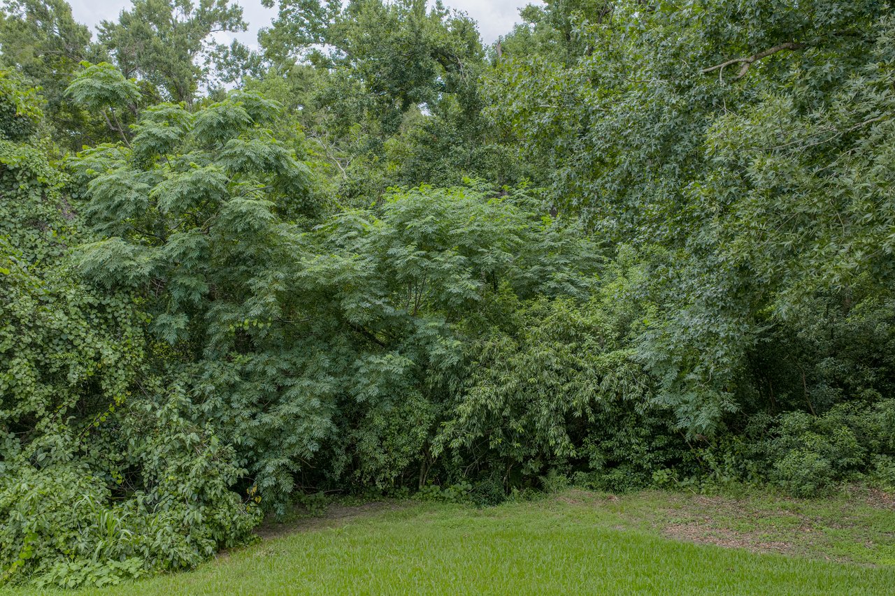 13140 Tradition Drive