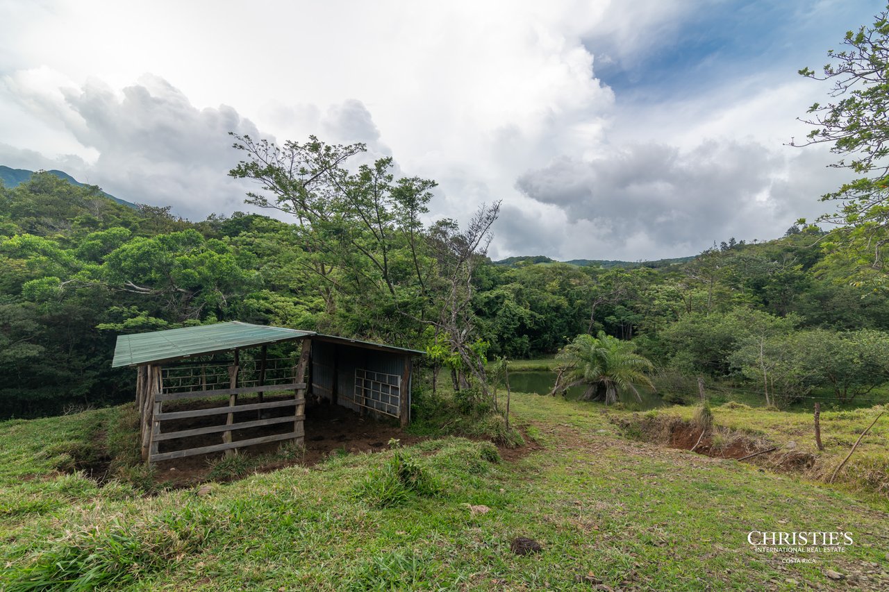 Origins Mineral: A Rare Landholding in Guanacaste’s Volcanic Highlands