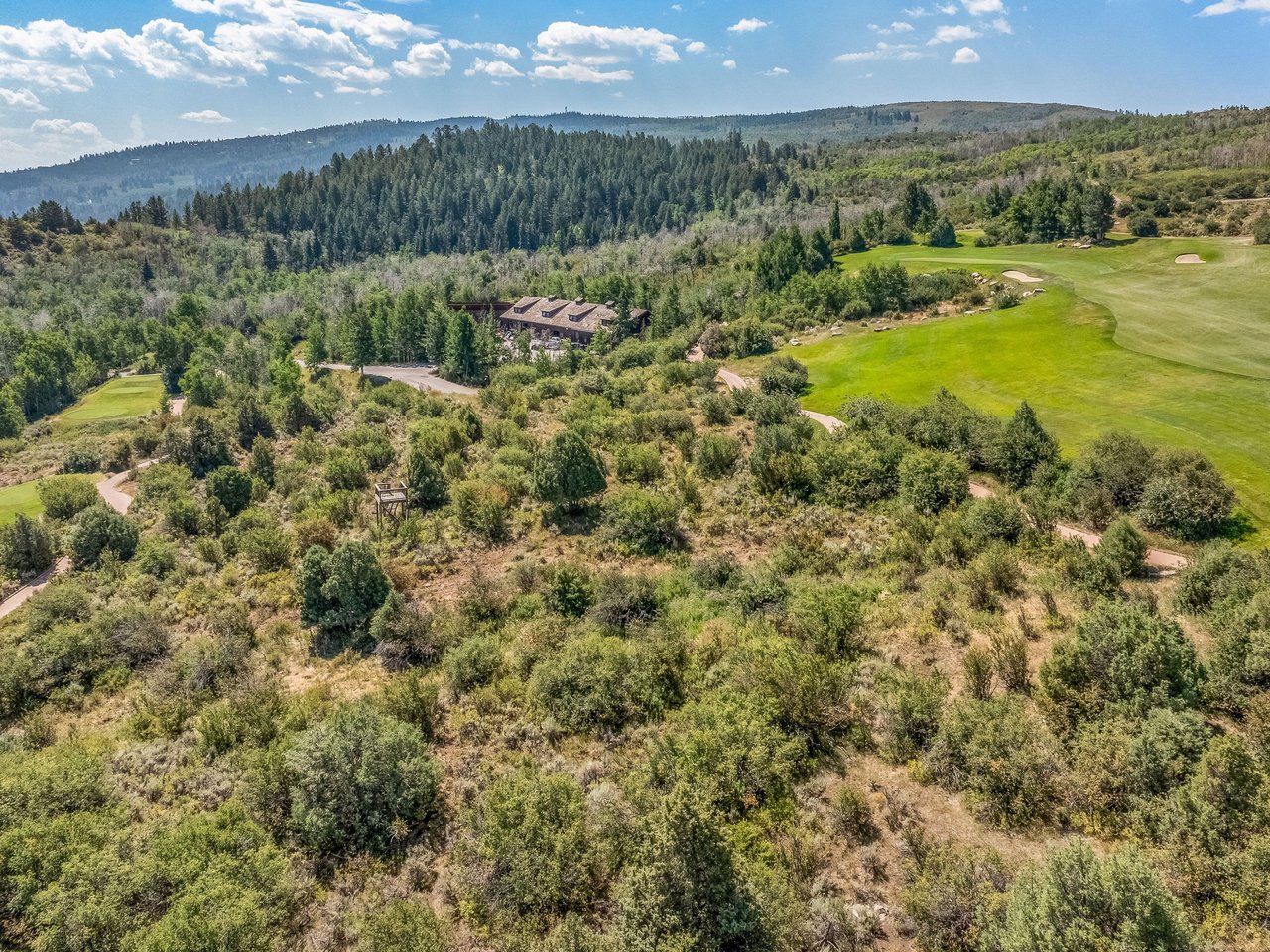 217 Saddle Rock