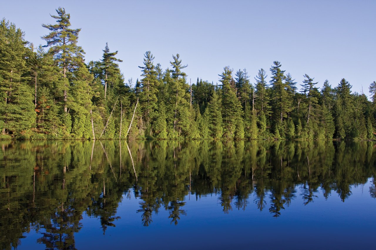ase Study: Selling “Camp Overview” on Rainbow Lake Through Targeted Waterfront Reach & SEO Authority