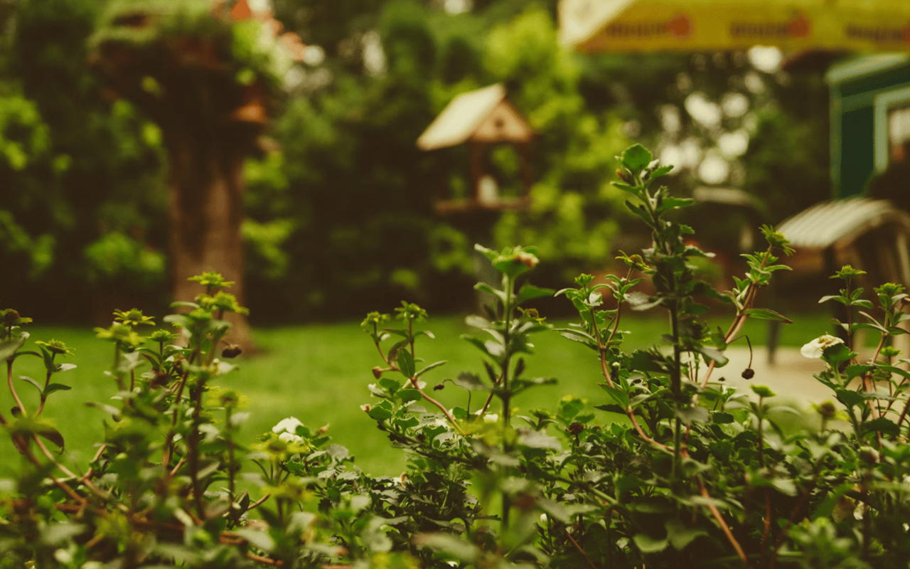 How to Renovate Your Backyard to Increase Home Value