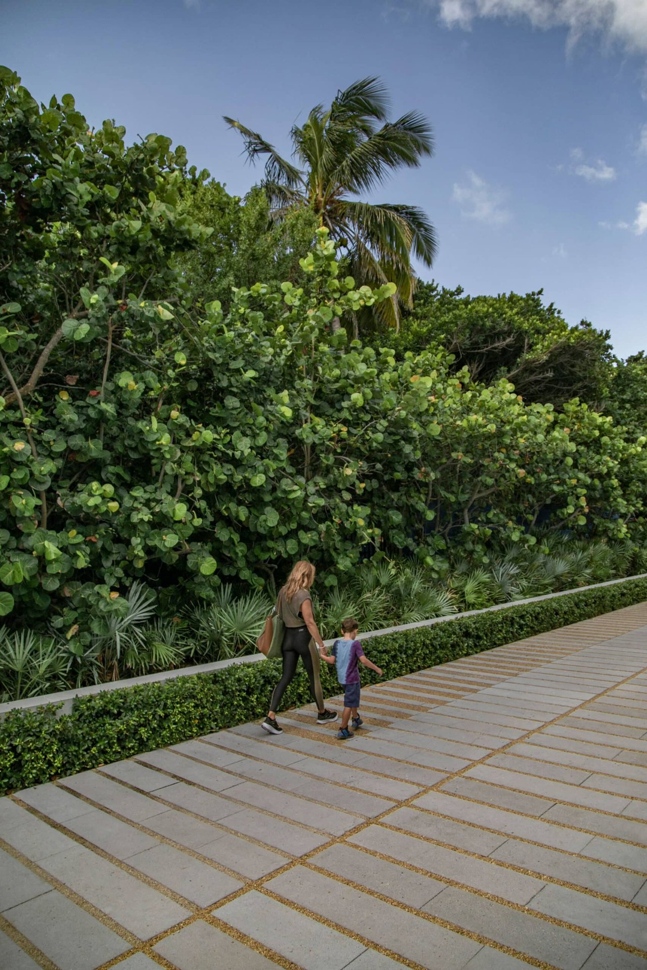 Surf Row Residences