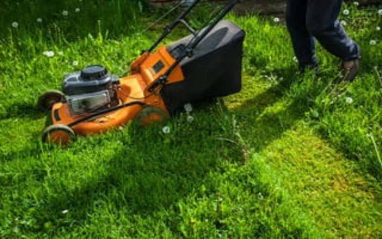 Tips for Reviving Your Lawn After Winter