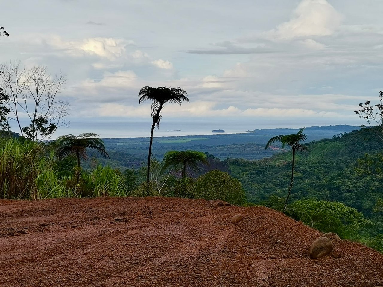 24.7-Acre Ocean View Eco Estate in San Cristóbal de Aguirre | 5 Building Sites