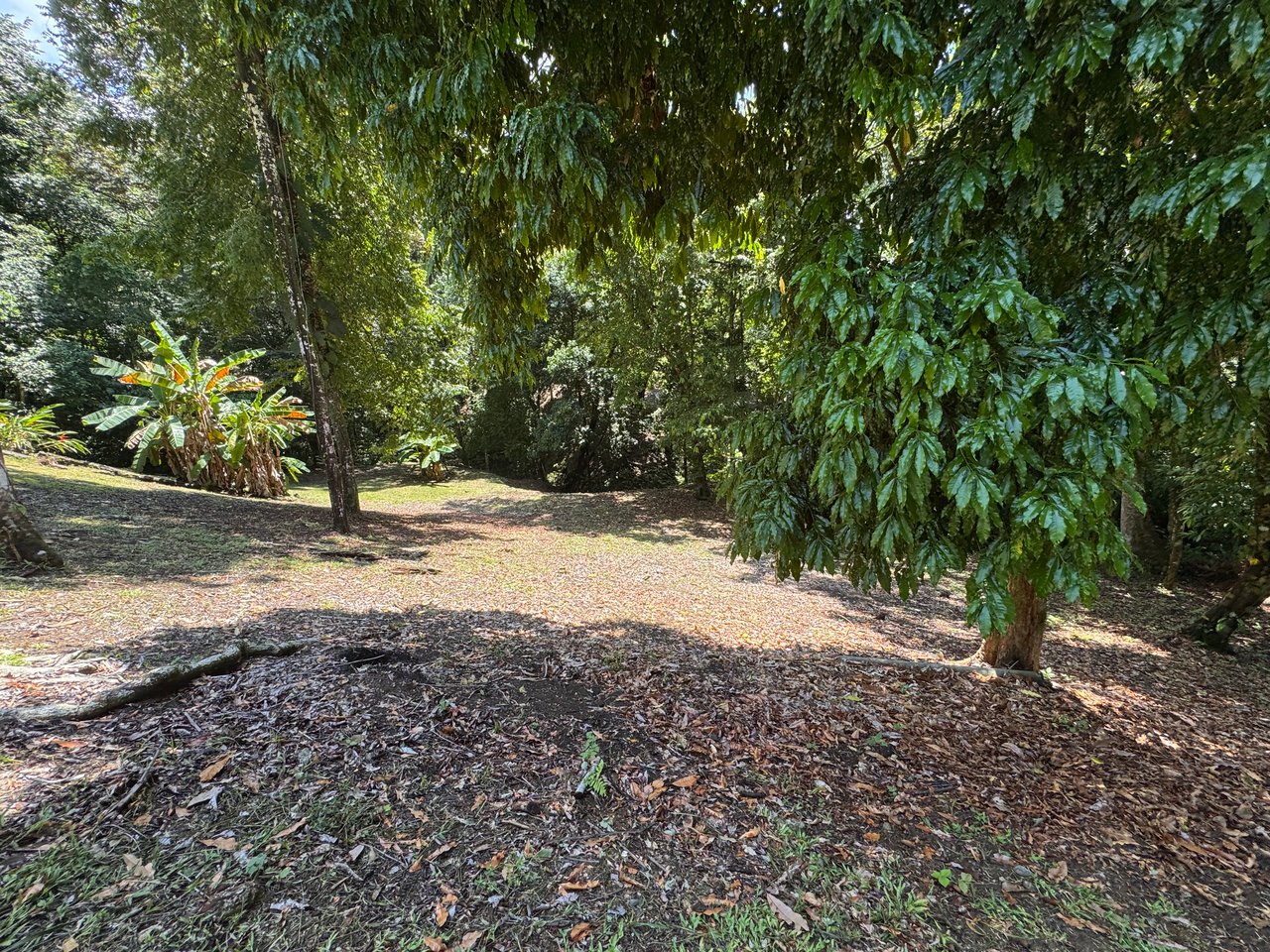 Walk to the Playitas beach, Titlled Building lot