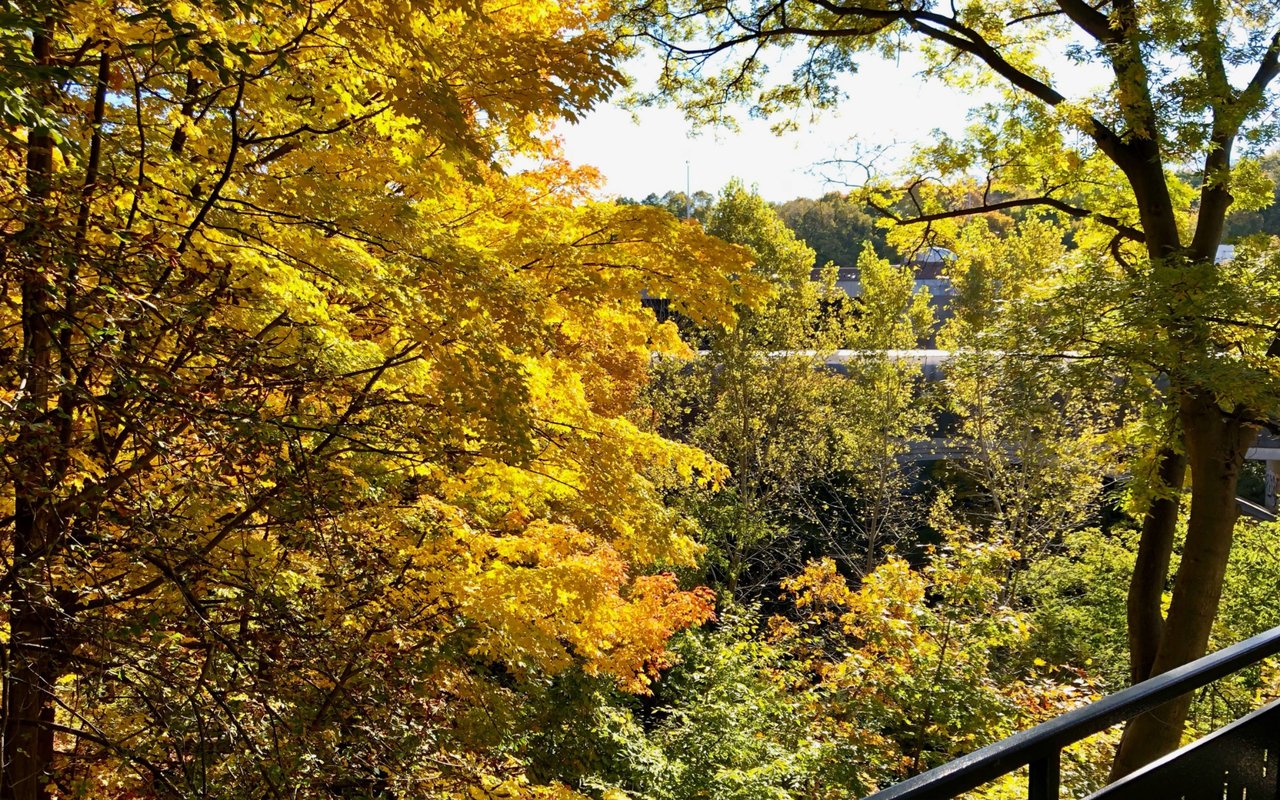 Rosedale and Area Park Facts!