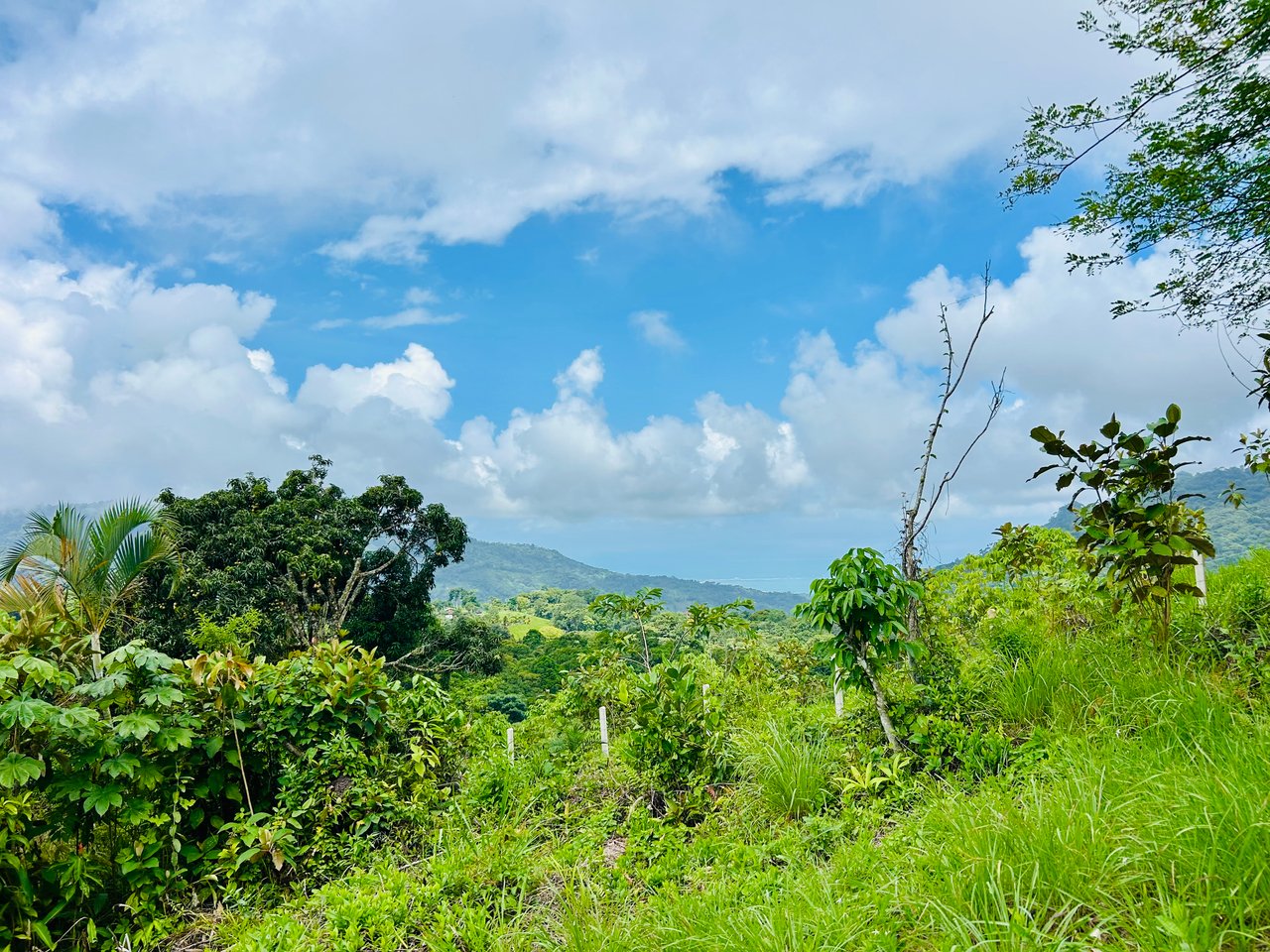 Ocean & Mountain View Lot with Multiple Building Sites-20 Minutes from Uvita