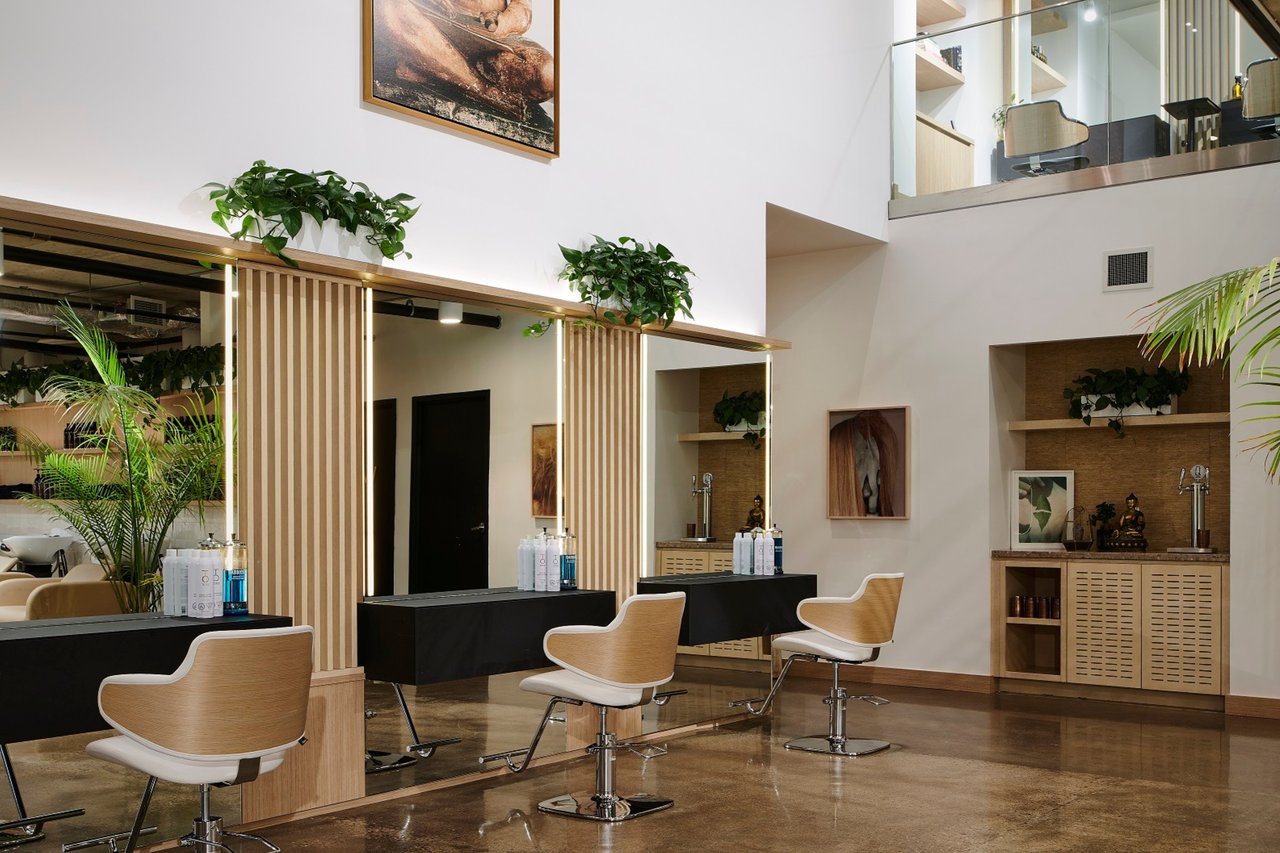 Medulla & Co. | Mr. Yorkville