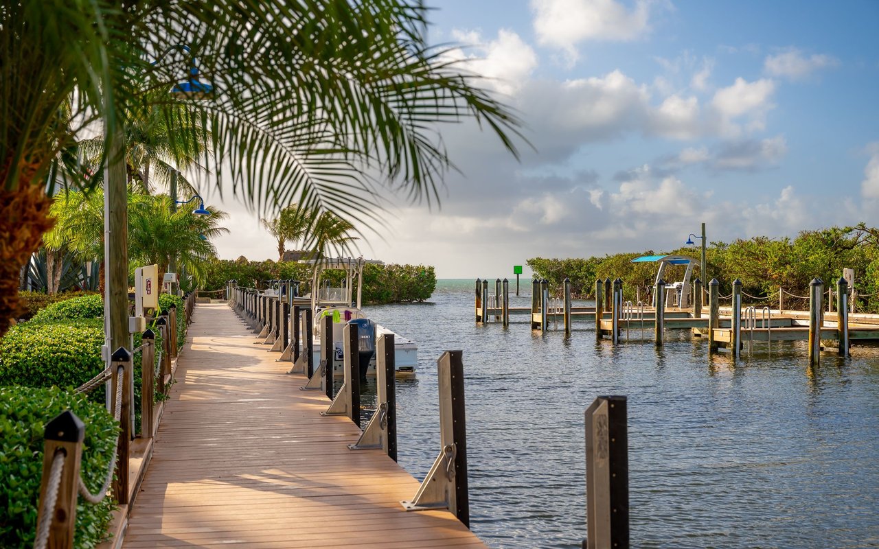 Palm Coast