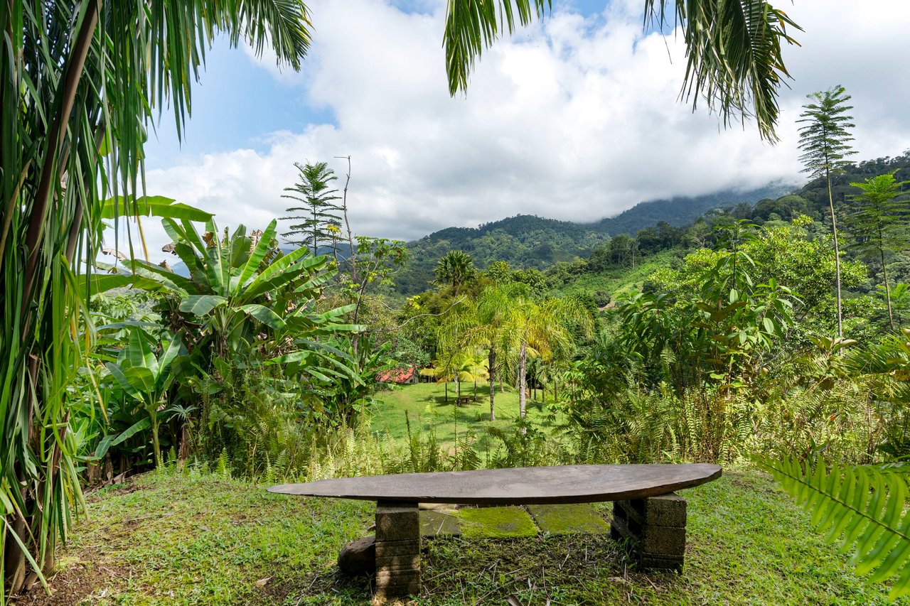 Cozy Sunset Ocean-View Bungalow On 3.5 Acres Of Jungle With Creeks, & Abundant Wildlife In Tres Rios Costa Rica