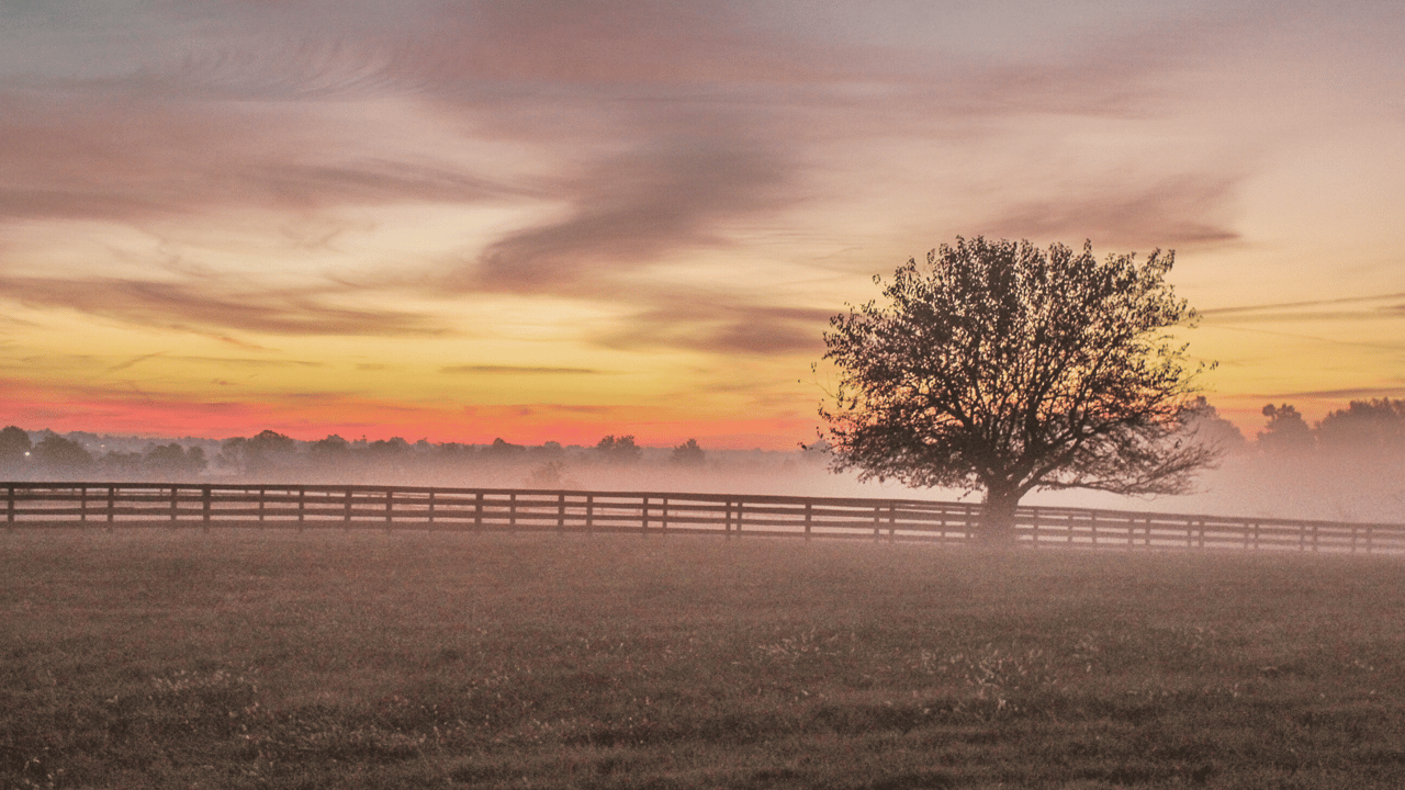 Why Choose a Ranchette Over a Ranch in Texas? Ideal Buyers and Benefits