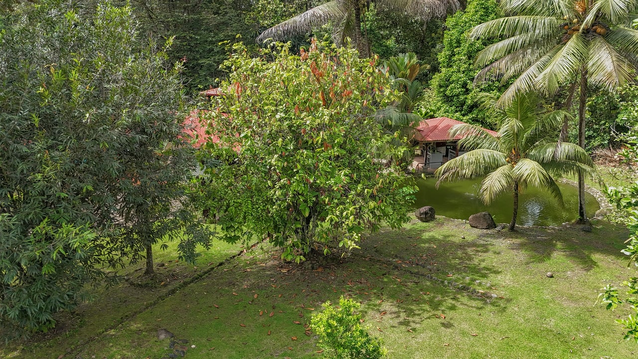 A riverfront 3-bed home on a large property In Ojochal, Costa Rica